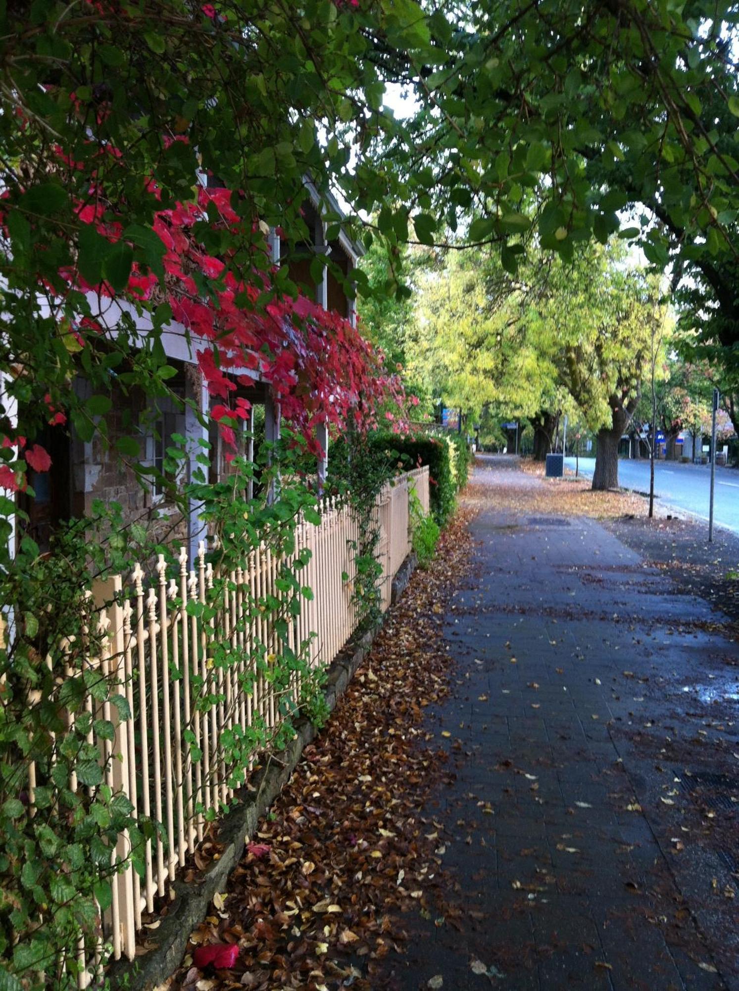 Amble At Hahndorf Bed & Breakfast Exterior photo