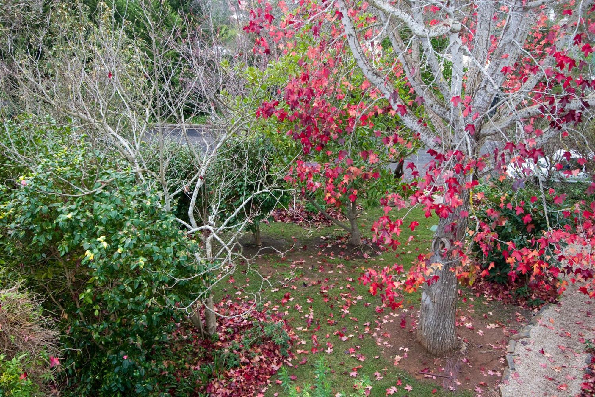 Amble At Hahndorf Bed & Breakfast Exterior photo